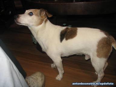 Klik hier om terug te gaan